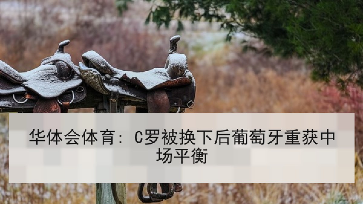华体会体育: C罗被换下后葡萄牙重获中场平衡