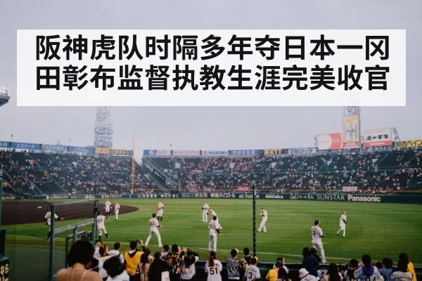 阪神虎队时隔多年夺日本一冈田彰布监督执教生涯完美收官