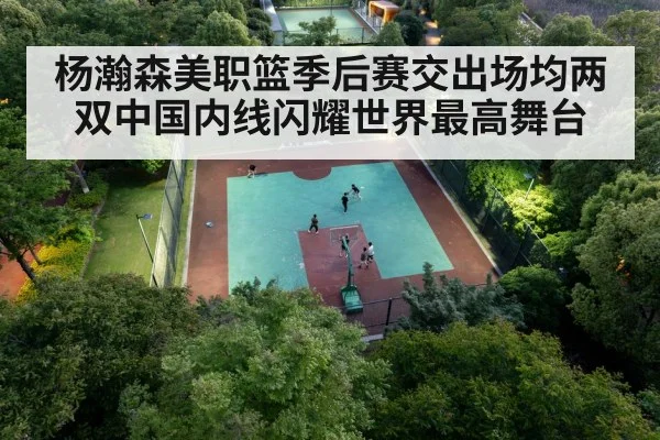 杨瀚森美职篮季后赛交出场均两双中国内线闪耀世界最高舞台
